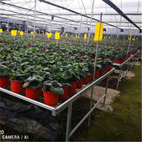 Serre agricole banc d'inondation hydroponique tables à rouleaux de flux et de reflux support de plateau de culture intérieur vertical plateau en plastique ABS
