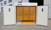 Incubateur Automatique de Poussins 110V/220V 5280 Œufs pour Poulets, Contrôle Facile, Capacité 5280 Pièces