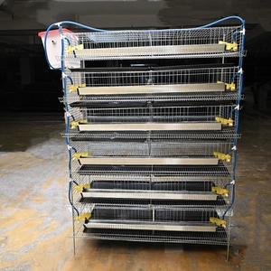 Nuova Attrezzatura per Allevamento di Animali e Pollame, Gabbia per Quaglie e Galline Ovaiole in Filo d'Acciaio a Basso Tenore di Carbonio, Capacità 200-400, Lunga Durata - Product Image 4