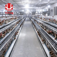 Nouvelle Cage d'élevage de poulets en acier / Cage à poules pondeuses pour ferme avicole, système de cages automatiques de type A pour poules pondeuses