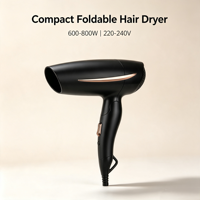 Sèche-cheveux compact pliable à moteur DC ionique haute vitesse, protection thermique, en plastique, pour extérieur, à bas prix