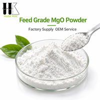 Additif alimentaire Oxyde de magnésium MgO 99% Poudre à faible teneur en fer pour vaches laitières pour le marché européen Cas 1309-48-4
