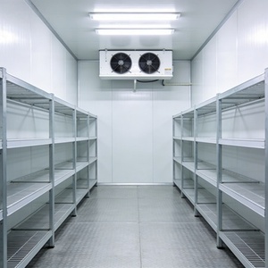 Chambre froide à température négative, congélateur walk-in, chambre de stockage frigorifique - Prix - Product Image 1