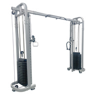 WOT FITNESS Machine à câbles croisés multifonctionnelle pour usage domestique - Charge maximale de 330 LBS - Équipement de fitness unisexe pour abdominaux et bras