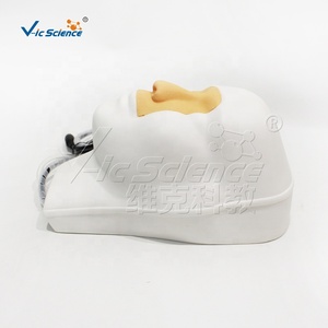 Modelo <span class=keywords><strong>de</strong></span> Simulación <span class=keywords><strong>de</strong></span> Hemorragia Nasal <span class=keywords><strong>de</strong></span> Alta Precisión, Modelo <span class=keywords><strong>de</strong></span> Estructura <span class=keywords><strong>de</strong></span> Cavidad Nasal <span class=keywords><strong>de</strong></span> PVC para Primeros Auxilios y Educación Médica - Product Image 3