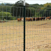 Malla de Alambre Galvanizado para Cercas de Pastizales, Ganado, Ovejas, Campos y Ciervos, Venta al Por Mayor