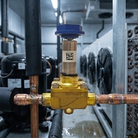 Vanne solénoïde électrique MDF-A03-6H002 pour pompe à chaleur de climatisation réfrigérée SANHUA, contrôle général du gaz