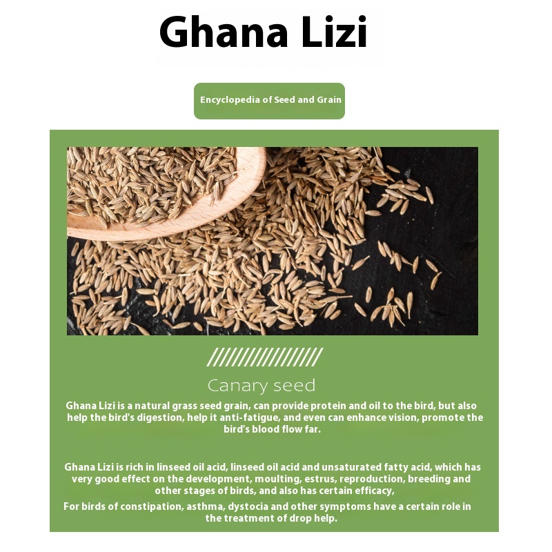 birds supplement for canary