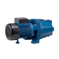 Dc Bombas De Agua 1Hp Surface domestique pompe à eau électrique auto-amorçante Jet-100 pompe pour un usage domestique
