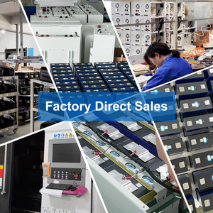 แบตเตอรี่ลิเธียมไอออนเจล300ah 12V 100AH 200ah 24V พร้อมตะกั่ว BMS แบตเตอรี่ Lifepo4 100AH 200ah Lifepo4 2 - Product Image 6