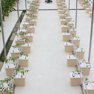 Pots de plantation hydroponique PP&UV, seau hollandais - Product Image 4