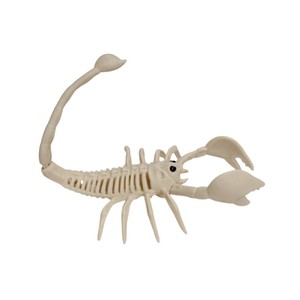 प्लास्टिक हेलोलीन कंकाल बिच्छू क्लासिक लेटरप्रेस मुद्रित सजावट क्रीपी प्रेप उत्सव पार्टी सजावट - Product Image 2