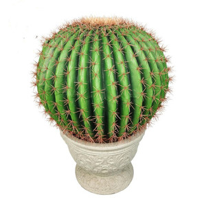 Flores Artificiales de Alta Calidad para Decoración del Hogar, Planta Artificial de Cactus, Venta al por Mayor de Fábrica - Product Image 3
