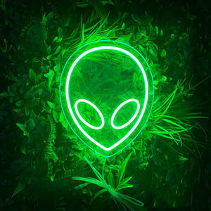 Enseigne néon <span class=keywords><strong>Anime</strong></span> suspendue au mur Dimmer Control Brightness Adjustable Acrylic Neon Sign - Product Image 5