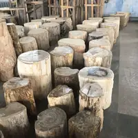 석화 된 테이블과 의자 나무 자연석