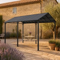 Abri de voiture en métal avec revêtement en poudre résistant à la rouille, toit en polycarbonate, résistant au vent, auvent extérieur pour allée, patio, bord de piscine
