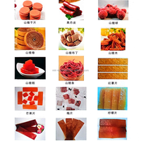 Fruitpuree-maakmachine, grote capaciteit, lange levensduur, multi-brandstof (stoom/elektrisch/gas)
