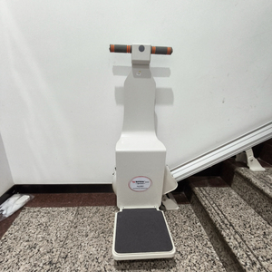 Elevador de Escaleras Recto para Interiores y Exteriores - Ayuda de Movilidad para Personas Mayores y con Discapacidad para Uso Doméstico - Product Image 1