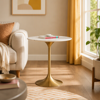 Table basse moderne simple en métal à pieds hauts, durable, pour salon, mobilier de maison, modèle OEM 1
