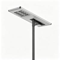 Fabricante Profesional OEM, Farola Solar Todo en Uno de 30W 40W, IP66, Fuera de la Red, Lámpara para Camino de Aldeas con Control Remoto