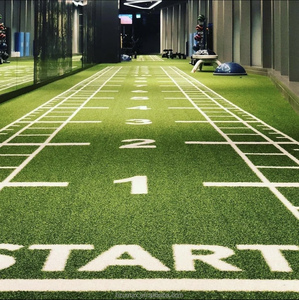 Tapis <span class=keywords><strong>de</strong></span> sol <span class=keywords><strong>en</strong></span> gazon artificiel pour salle <span class=keywords><strong>de</strong></span> sport, tapis <span class=keywords><strong>de</strong></span> glisse pour fitness, gazon synthétique, conception personnalisée gratuite - Product Image 1