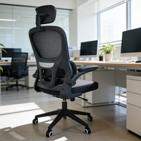 Chaise de bureau écologique, mobilier, vente chaude, chaise de bureau informatique, 2025, belle, meilleure chaise de bureau pour le confort, ergonomique
