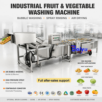 OEM Automatische Fruit- en Groentewasmachine RVS Belletjeswasser Maïs Sojabonen Bloem Ozon Sterilisatie Verse Producten
