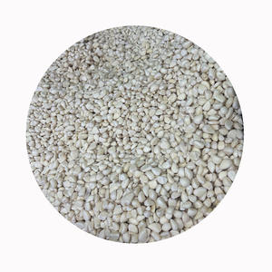 Meilleur <span class=keywords><strong>prix</strong></span>, haute qualité, gousses <span class=keywords><strong>d</strong></span>'<span class=keywords><strong>ail</strong></span> pelées surgelées, cubes, style frais, biologique, sain, naturel, vente en gros, surgélation IQF - Product Image 2