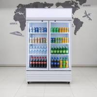 Réfrigérateur vertical à porte vitrée pour boissons de magasin de proximité, sans givre, refroidissement direct par ventilateur, refroidisseur de boissons, réfrigérateur à bière