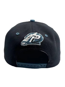 <span class=keywords><strong>Casquette</strong></span> Snapback Personnalisée SS26 Seattle Nouveau Design Downtown Football Seattle Champion City Football Team Sport - Product Image 5