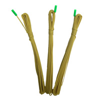 Tête d'allumage électronique à télécommande de 2 m avec effet de flamme jaune-vert, certifiée CE pour les célébrations de feux d'artifice de festival
