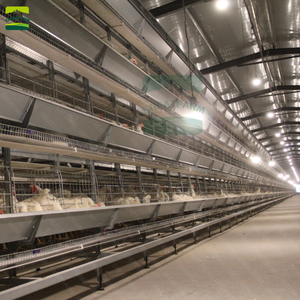 Клетки для кур-несушек GREATFARM H-типа, 4-ярусные, с автоматической системой кормления и поения, устойчивые к коррозии, экономящие труд, для увеличения яйценоскости - Product Image 6