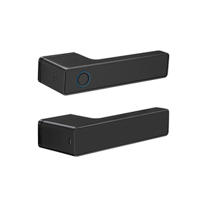 P40 sang trọng xử lý sinh trắc học phím kỹ thuật số màu đen kiểm soát giọng nói mật khẩu vân tay BLE cổng tuya cửa thông minh khóa - Product Image 3