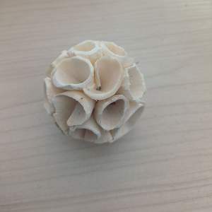 Brinquedo de Bola Solar Tongcao para Papagaios, Acessórios para Pássaros, Tamanhos D4cm/D6cm, Suprimento Importado - Product Image 3