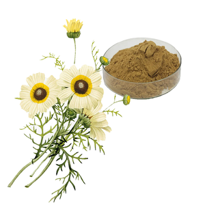 天然アマチャヅルエキス、食品グレード原料粉末、アマチャヅル粉末、小苦草、濃度10%-98% - Product Image 1