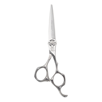 Ciseaux de coiffure professionnels en acier inoxydable à lame affûtée, ciseaux à cheveux, kit de coupe de cheveux pour salon