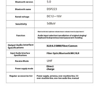 Microphone sans fil 2 canaux BHA N223+X3 avec préamplificateur USB à effets DSP pour scène, prix de gros usine, OEM CE FCC