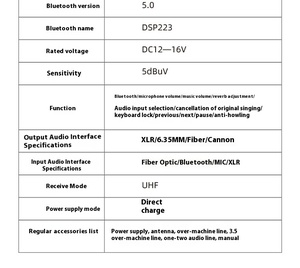 Microphone sans fil 2 canaux BHA N223+X3 avec Bluetooth, USB <span class=keywords><strong>et</strong></span> préamplificateur de réverbération pour scène, prix de gros usine, OEM CE FCC - Product Image 6