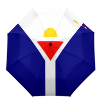 Parapluie pliable avec drapeau de Sainte-Kitts-et-Névis, résistant au vent et au soleil, parapluie de voyage portable, cadeau promotionnel, panneaux personnalisés