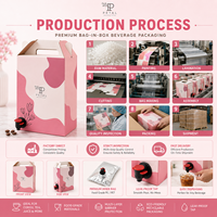 Pochettes souples personnalisées 3L 5L de qualité alimentaire, anti-humidité, avec bec verseur et valve supérieure pour vin, bière, jus et boissons énergisantes, sérigraphiées