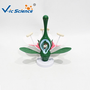 Matériel d'expérimentation biologique pour collégiens : Modèle Fleur de Pêcher, Instruments pédagogiques pour l'expérimentation sur la fleur de pêcher - Product Image 1