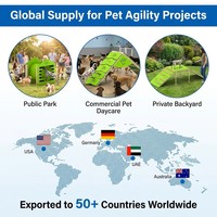 Terrain de jeu d'agilité pour animaux de compagnie, équipement de fitness pour chiens en plein air, rampe d'escalade, tunnel et anneau de saut