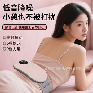 Professional Abdominal Massager Rechargeable <b>Vibration</b> Heat Therapy Body Slimming Machine - Product Image 2