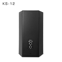 Haut-parleur professionnel KS12 12 pouces 2 voies pleine gamme 350 watts passif pour système de sonorisation