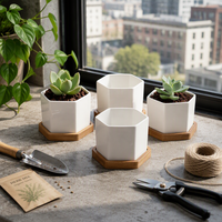Pot de fleurs en céramique blanche pour plantes succulentes avec plateau en bambou, décoration