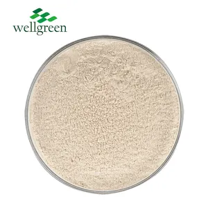 Manufacturer ISO Certificated Good Flavor Free Sample Pure Natural Oat Milk Powder