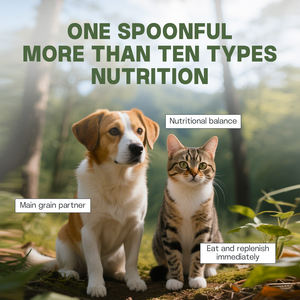 Odm/oem מחמד תוספת אבקת multitamin לחיות מחמד ויטמין בריאות טיפול חתול ותוספת כלב - Product Image 6