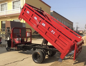 Triciclo de Carga con Motor de 200cc Refrigerado por Agua, 5 Ruedas, Volquete Doble, Neumáticos de 12'', Suministro de Fábrica - Product Image 2
