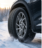 Neumáticos de Invierno al Por Mayor con Marca Personalizada 255/40R20 265/50R20 285/45R20 Agarre Estable en Nieve y Hielo
