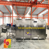 Stoomverwarmde gaasbandtransportband fruitdroogmachine voor de verwerking van mango en ananas